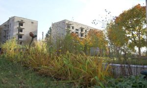 Украинские спецслужбы изъяли чернобыльский «самогон», который везли в Великобританию