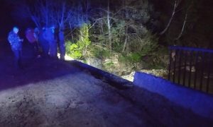 На Франковщине лесовоз упал с моста в реку: есть погибшие