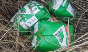 Пограничники обнаружили у российской границы подозрительных лиц и парашюты