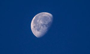 NASA приостановила сотрудничество со SpaceX по Лунной программе