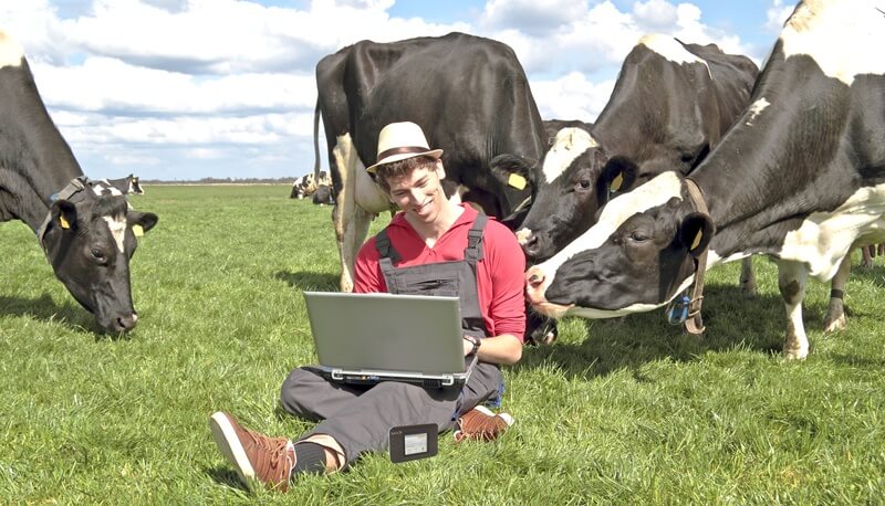 Украинские села приглашают к участию в проекте по подключению к оптическому интернету