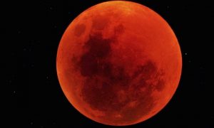 В мае жители Земли смогут наблюдать суперлуние и лунное затмение