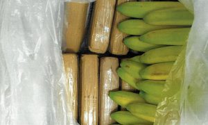 В Германии работники логистической компании выбросили в мусорку кокаин на 1 млн евро