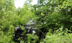 Фото: бойцы ВСУ приняли участие в зарубежных военных учениях