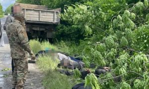 В национальном парке Подольские Товтры разоблачили незаконную вырубку ценных пород деревьев