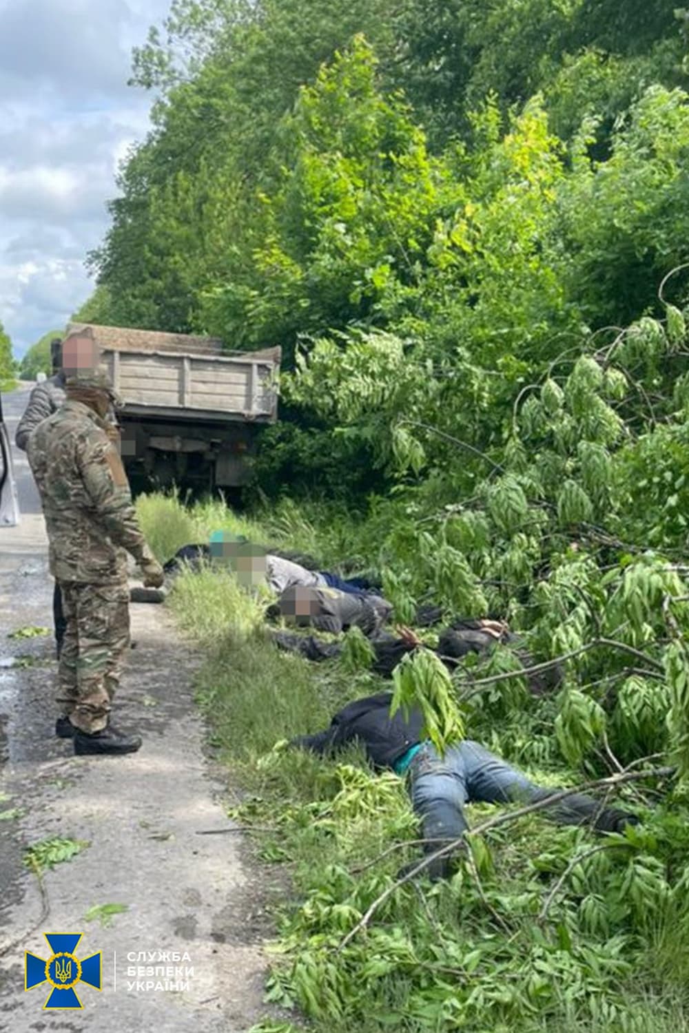 В национальном парке Подольские Товтры разоблачили незаконную вырубку ценных пород деревьев