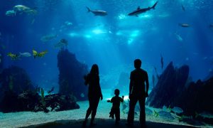 В 1983 году женщина взяла билет, которым можно воспользоваться «в любое время в будущем». Произошло это уже в 2021 году