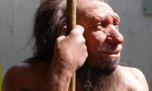 Ученые нашли череп предполагаемого нового вида человека