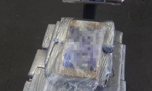 Фото: СБУ нашла крупную партию кокаина в контейнере с бананами в порту «Южный»