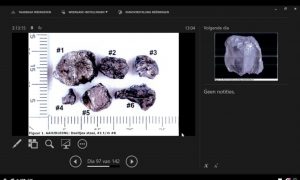 Дело МН17: суд впервые заслушал очевидцев запуска ракеты и падения обломков