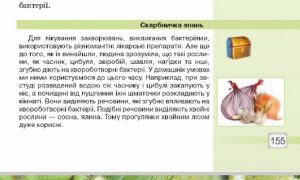 Фото: в школьном учебнике нашли фейки, противоречащие научным исследованиям