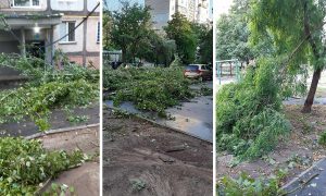 Фото: в Николаеве ураган сорвал крышу и повалил деревья