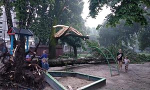 Ураган в Житомире ломал деревья и срывал крыши, есть пострадавший (фото)