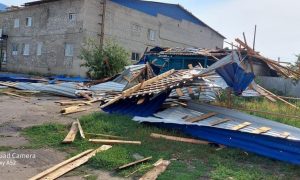 В Украине из-за сильного ветра погибли два человека (фото, видео)