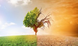 Ученые определили новых виновников глобального потепления