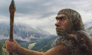В Германии нашли неандертальское охотничье оружие