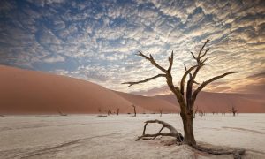 Ученые рассказали, какие страны больше всего пострадают из-за изменений климата