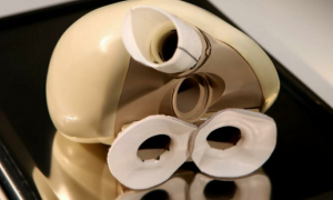 Компания из Франции впервые продала искусственное сердце: для кого оно предназначено