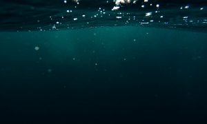 В самом глубоком на планете месте обнаружили новые виды вирусов