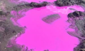 Фото: возле Ривне обнаружили розовые лужи, спасатели проверяют происхождение