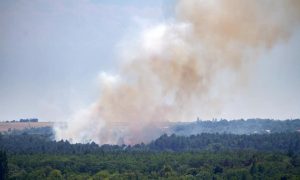 Фото: на острове Хортица горит лес, тушение усложнено