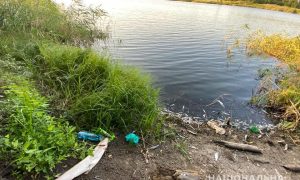 Полиция расследует массовый мор рыбы на Луганщине