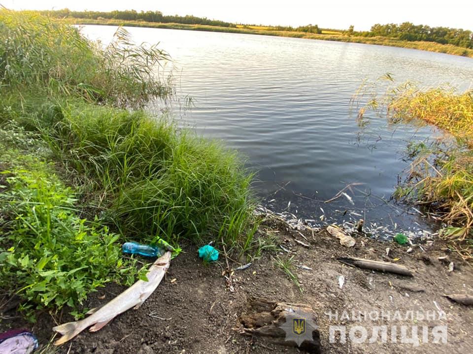 Полиция расследует массовый мор рыбы на Луганщине