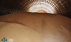 Фото: СБУ разоблачила коррупционную схему в зерновой госкорпорации
