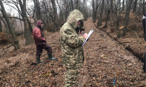 Фото: в Луганской области незаконно вырубали лес, прикрываясь пожарами