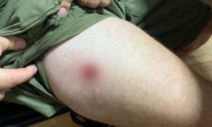 Под Киевом мужчины устроили стрельбу во время представления цирка