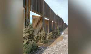 Фото, видео: на границе с Мексикой начала разрушаться «стена Трампа»