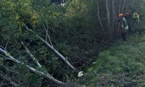  «Большая стройка» на Волыни: ремонт трассы к озеру Свитязь обещают завершить в октябре