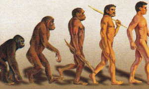 Больше половины жителей США все же признали теорию эволюции