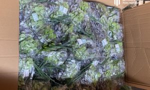 Фото: в Одесской области разоблачили миллионную контрабанду текстиля из Китая