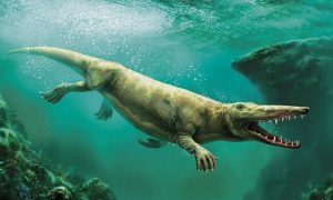 В Египте открыли новый вид четвероногого кита, которому 43 млн лет. Он мог жить и на суше, и в воде