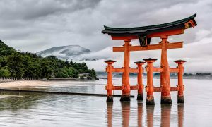 Компания Маска обеспечит связь в самых отдалённых районах Японии 