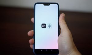 В приложении «Дия» появились небиометрические загранпаспорта