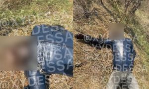 В спальном районе Одессы нашли скелетированный труп с запиской (фото)