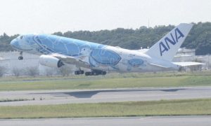 В Японии задержали вылет пяти самолетов из-за черепахи на взлетно-посадочной полосе