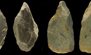 Археологи обнаружили уникальные древние инструменты из слоновой кости