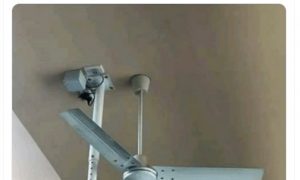 Маск заподозрил главу Роскосмоса в параноидальном расстройстве личности