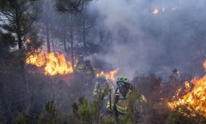 В Испании на шестой день взяли под контроль пожар, выжегший почти 10 000 гектаров