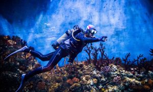 Десятки монет. Дайвери виявили скарб із золотом біля берегів іспанського острова