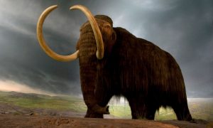 Ученые объяснили, как воскресшие мамонты смогут остановить глобальное потепление