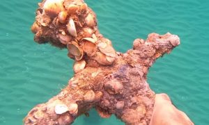 Житель Израиля нашел в море около Хайфы меч времен крестовых походов