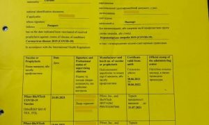 Екс-нардепка хотіла повернутись в Україну по підробленому COVID-сертифікату