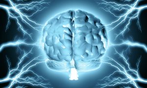 Уменьшение человеческого мозга: ученые нашли причину 