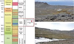 В Антарктиде были лесные пожары 75 миллионов лет назад – ученые