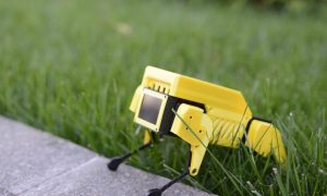 Видео: как выглядит и что умеет гонконгский мини-робот Mini Pupper