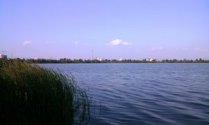 Как будет выглядеть новый парк на Осокорках - концепция